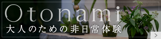 Otonamiサイト